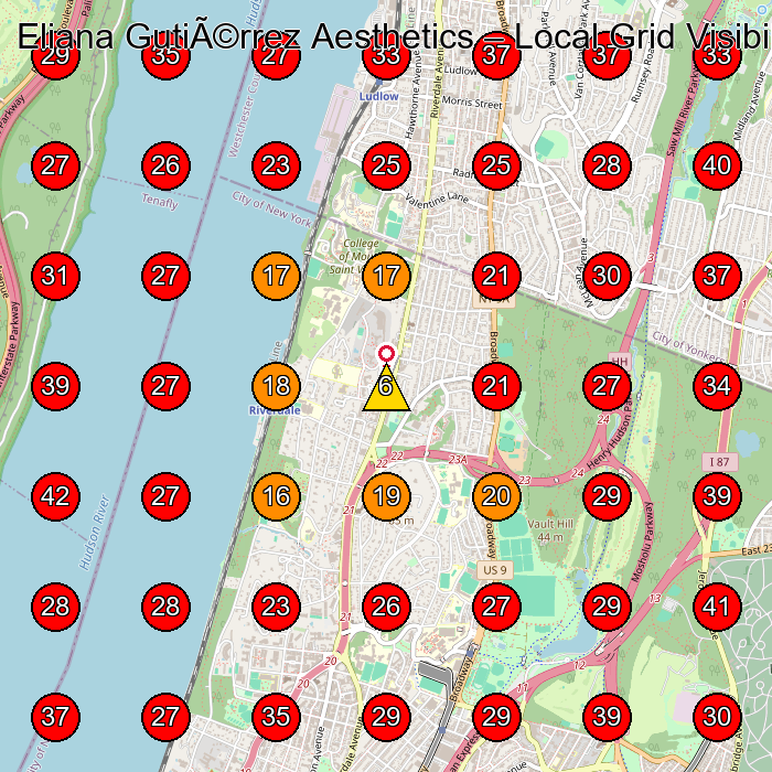Eliana GutiÃ©rrez Aesthetics GeoGrid visibility map for Tax Consultant in Bronx